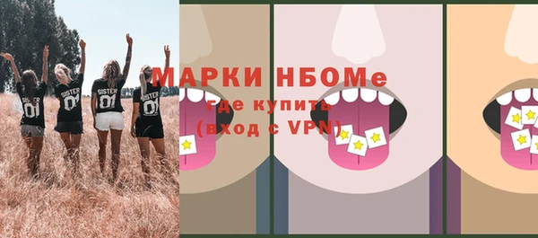 шишки Заволжье
