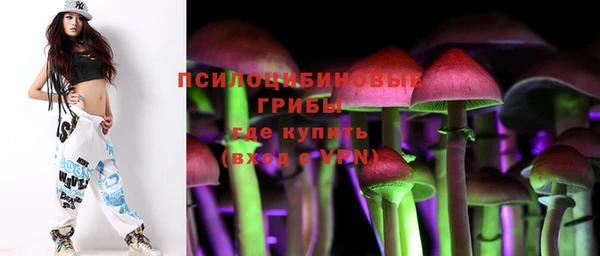 шишки Заволжье