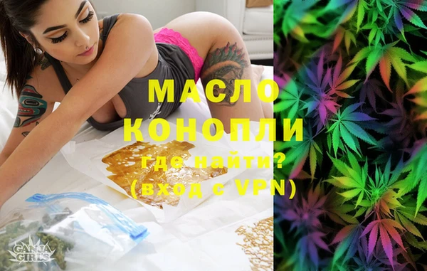 шишки Заволжье