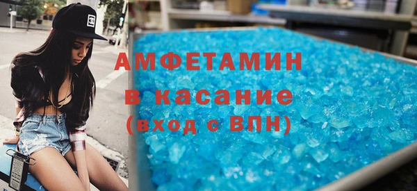 шишки Заволжье