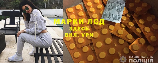 шишки Заволжье