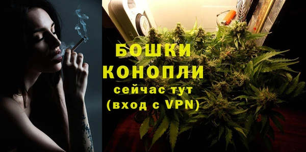 шишки Заволжье