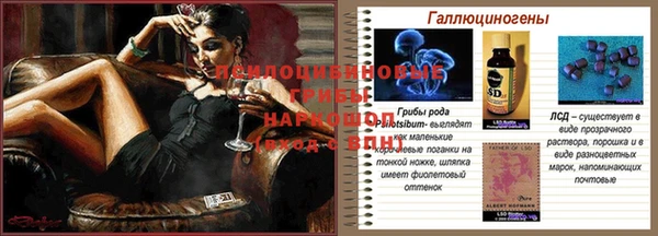 шишки Зерноград