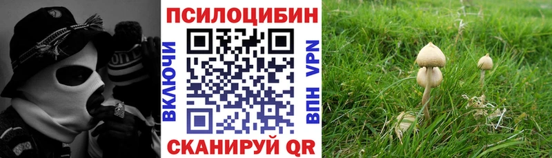 Купить  Жуков  Галлюциногенные грибы GOLDEN TEACHER 